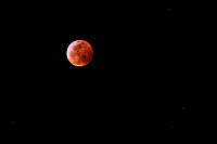 Lunar Eclipse | 1/20/19